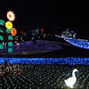 東京ドイツ村　２０１０年冬