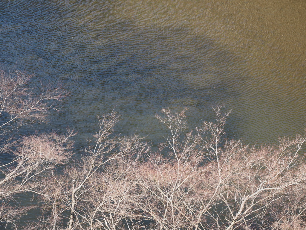 もうすぐですね