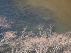 もうすぐですね