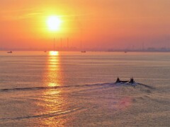 夏の漁・朝日をいっぱいに浴びながら