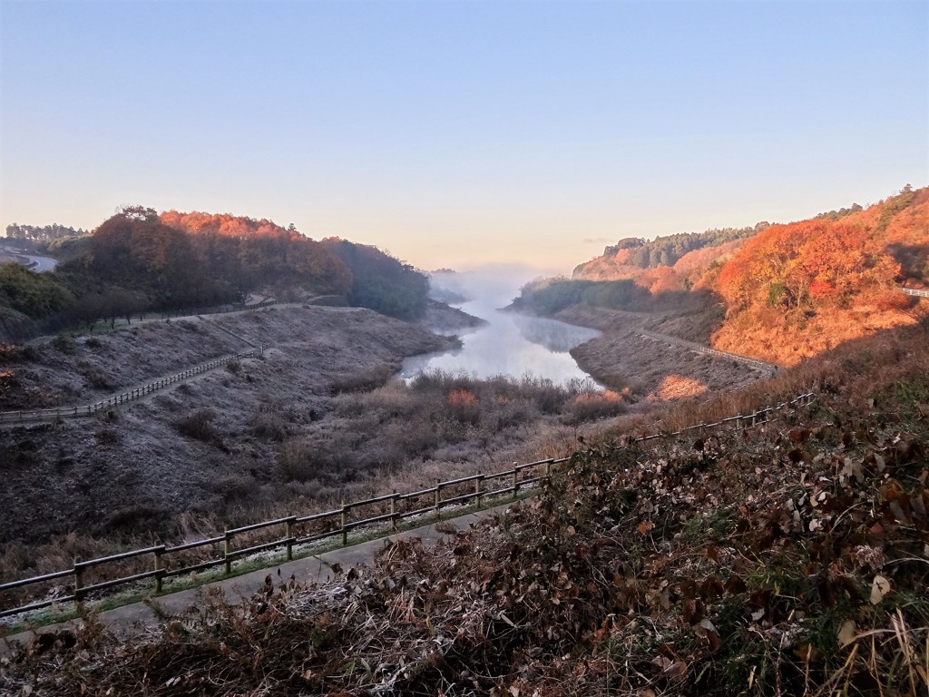 霜の降りた朝に・・・冬の散歩道