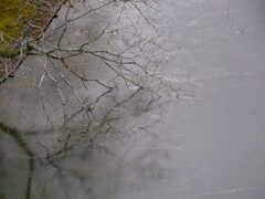 ひと昔前の冬に…氷の池