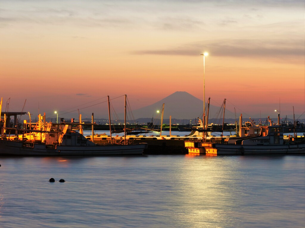 残照に浮かぶ富士と港の灯り