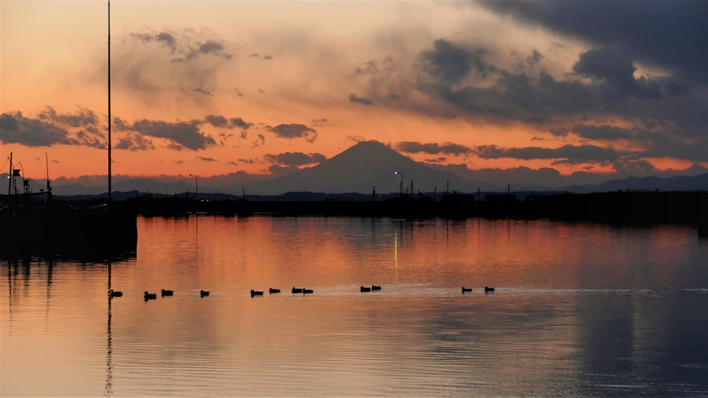 ゴール！夕刻の競争＼(^o^)／