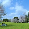 うららかに・・春風に・・