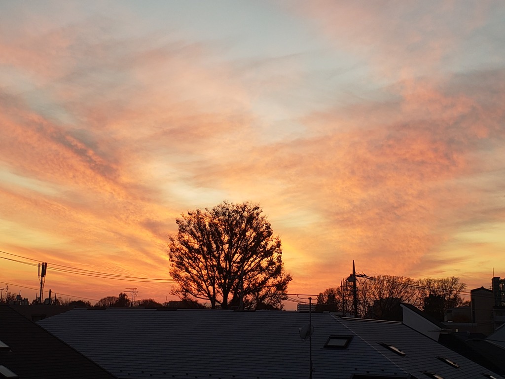 冬の夕空