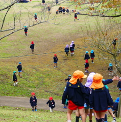 秋…森の小人たち…黄、紫、赤、青、色いろ帽子