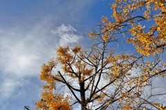 天気に恵まれて