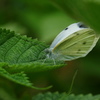 そんなところに居たんだ(^O^)