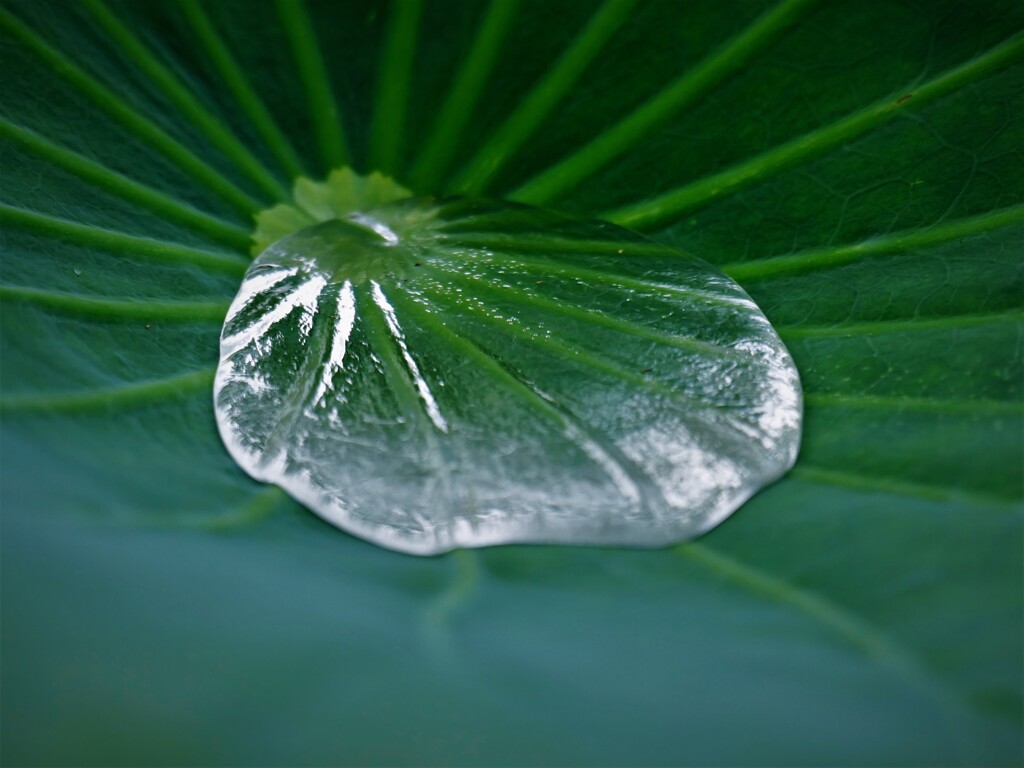 水玉・・・色々・・・あります（＾－＾）