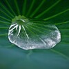 水玉・・・色々・・・あります（＾－＾）