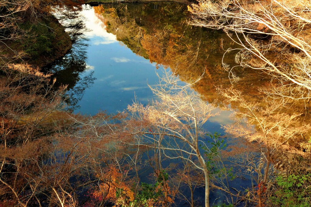 秋から冬へ・・里山の池