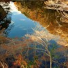 秋から冬へ・・里山の池