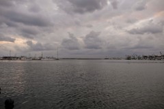 2018 秋　銀鱗の漁港