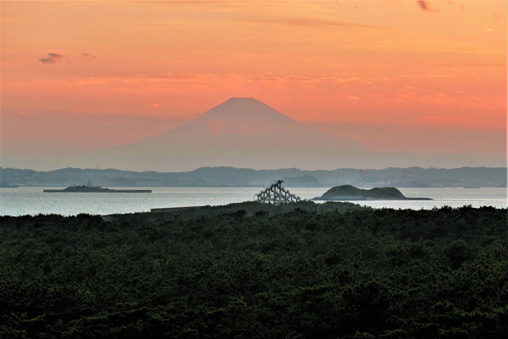 夕景・富士と黒松の岬