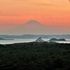 夕景・富士と黒松の岬