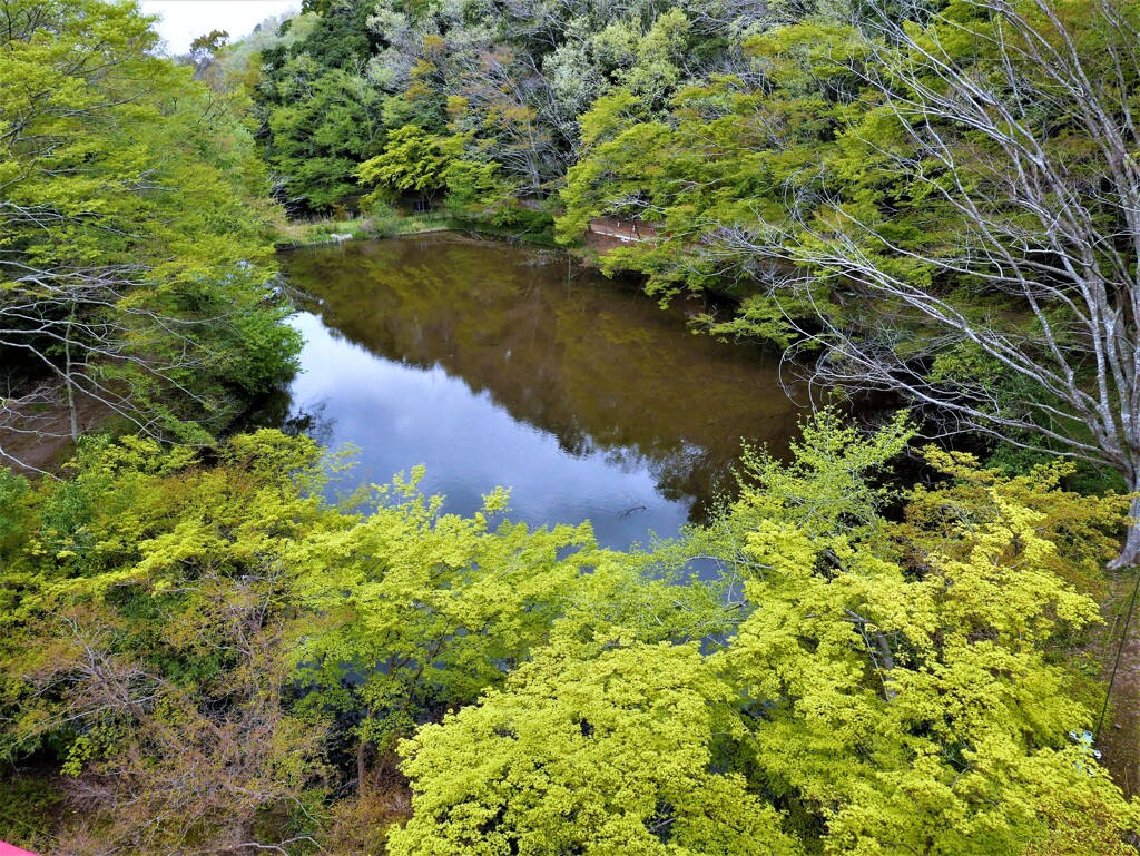 里山の春