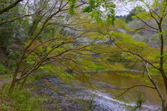 萌える池之端