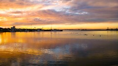 夕凪・光彩の港・安堵の海鳥たち