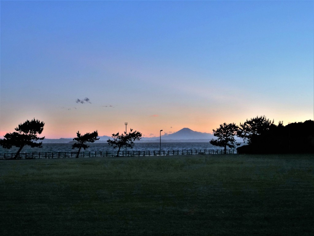 草原・東京湾・富士山