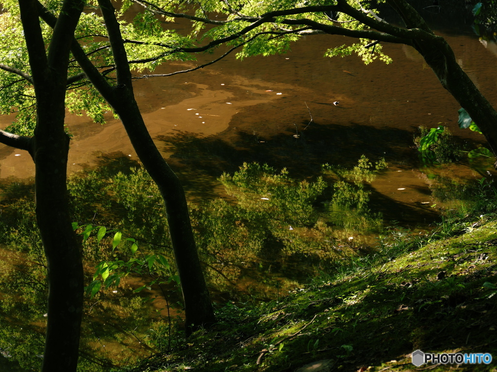 秋色を待つ里山の鏡池です。