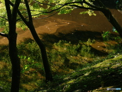 秋色を待つ里山の鏡池です。