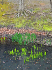 そろそろ出番ですよね