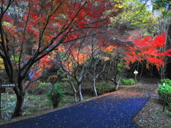 泉自然公園