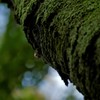 あかし