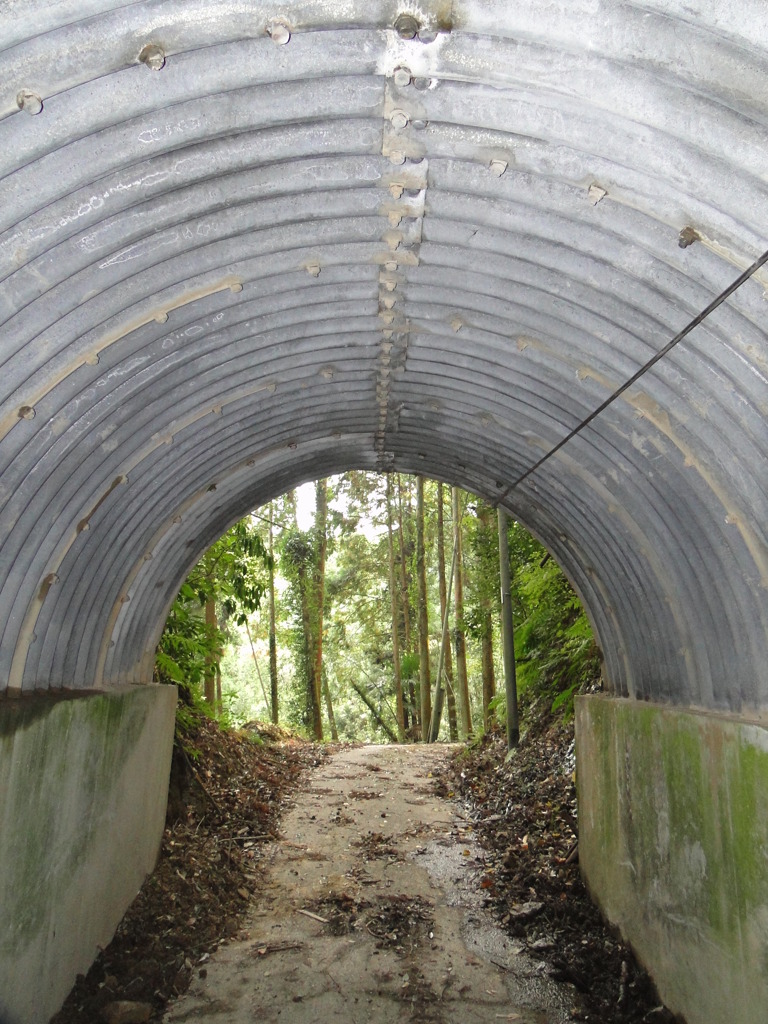 トンネルもいろいろです
