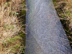 映り込まない水面