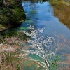 令和弐年・春