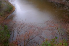 春雨に霞んで・・・