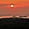 夕陽の岬…焦がれる富士