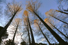 冬ごもりに入ります