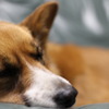 Zzz...