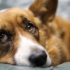 眠いんですケド