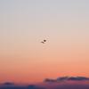 茜空