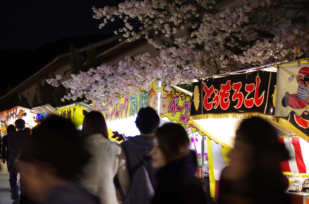 円山公園のお花見