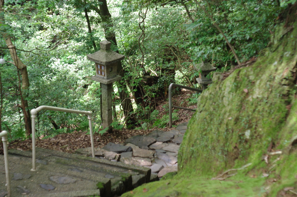 立木観音　石段１