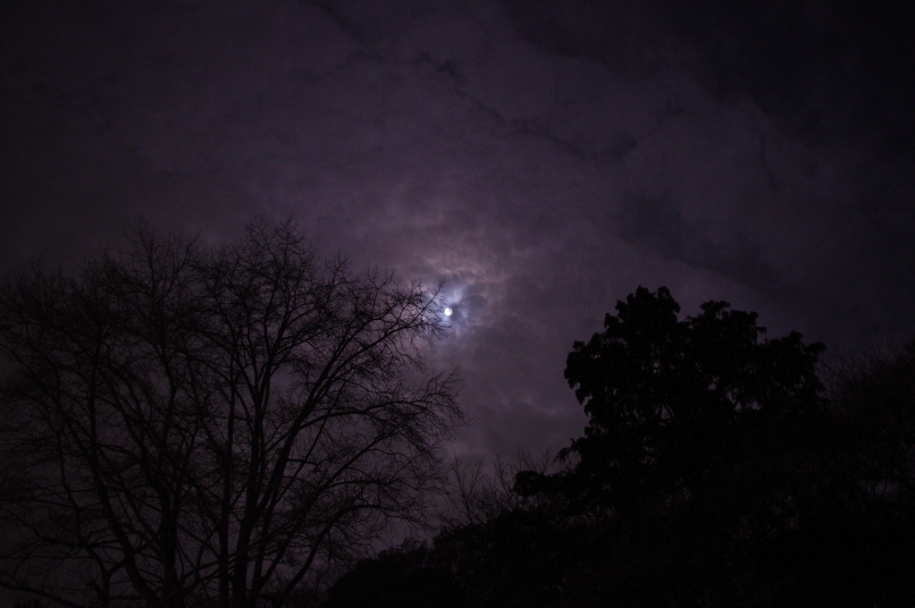 不気味な夜