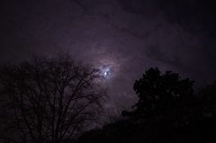 不気味な夜