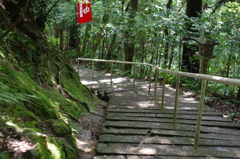 立木観音　石段２