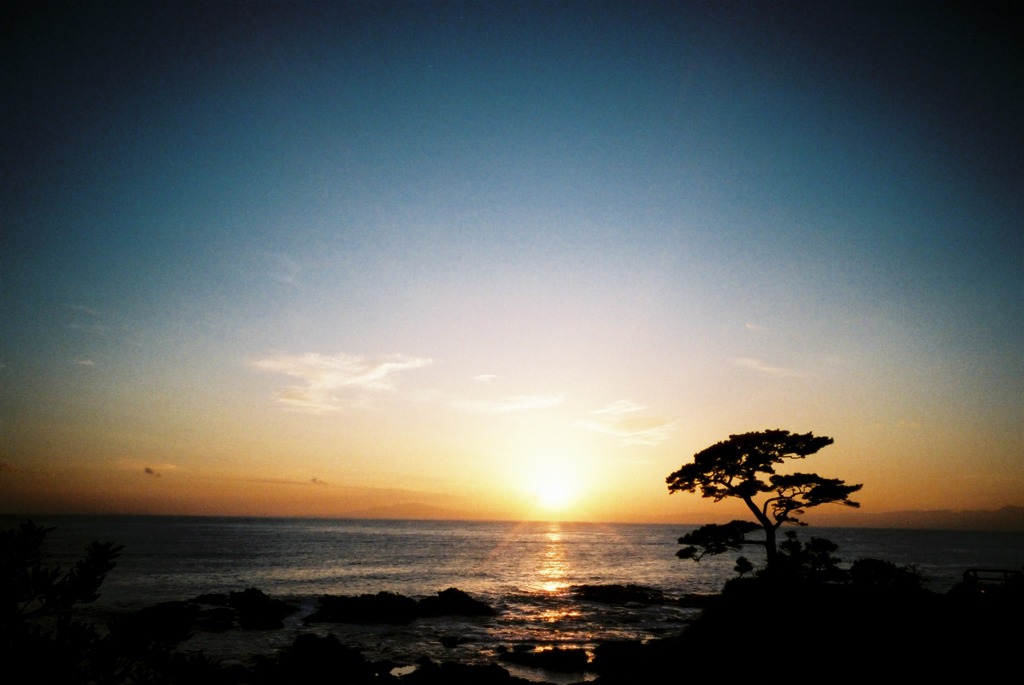 夕日