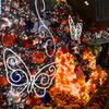 illumination２