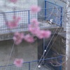 またお前かにゃ。
