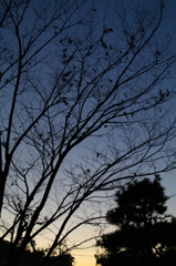 Shadow