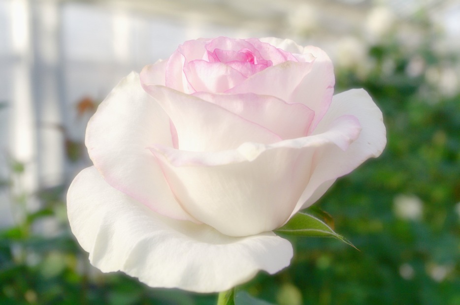 for you 2