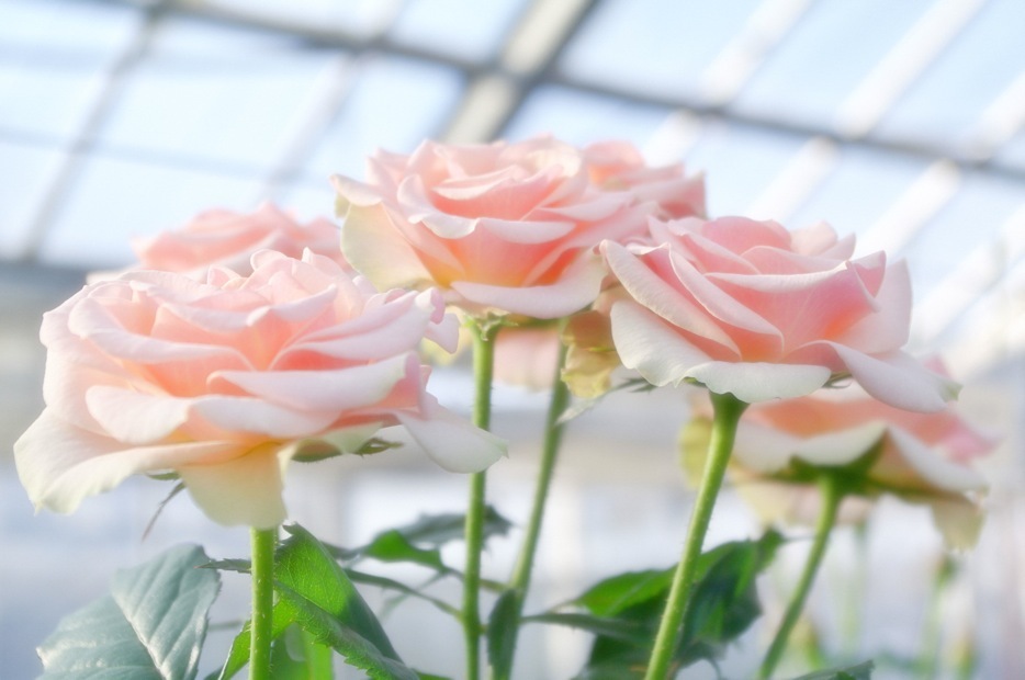 for you