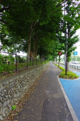 Straight road next to the cemetery